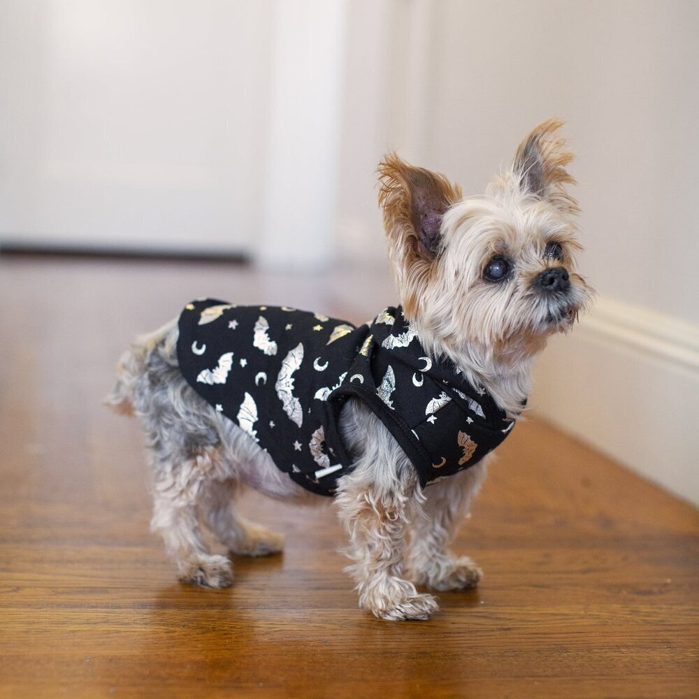 Vibrant Life Halloween Dog Clothes, Bat Print Hoodie, for Dogs or Cats, Size XXS